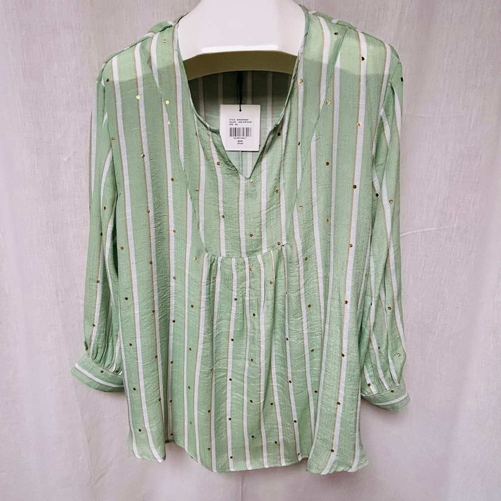 Blouse 3XL light sage
Longsleeve sheer
Stripe 
Yoke front
NWT
3XL
